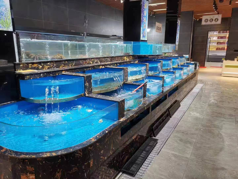 亞克力魚(yú)缸的選購(gòu)和保養(yǎng)技巧，海鮮池/魚(yú)缸 定制設(shè)計(jì) 維護(hù)